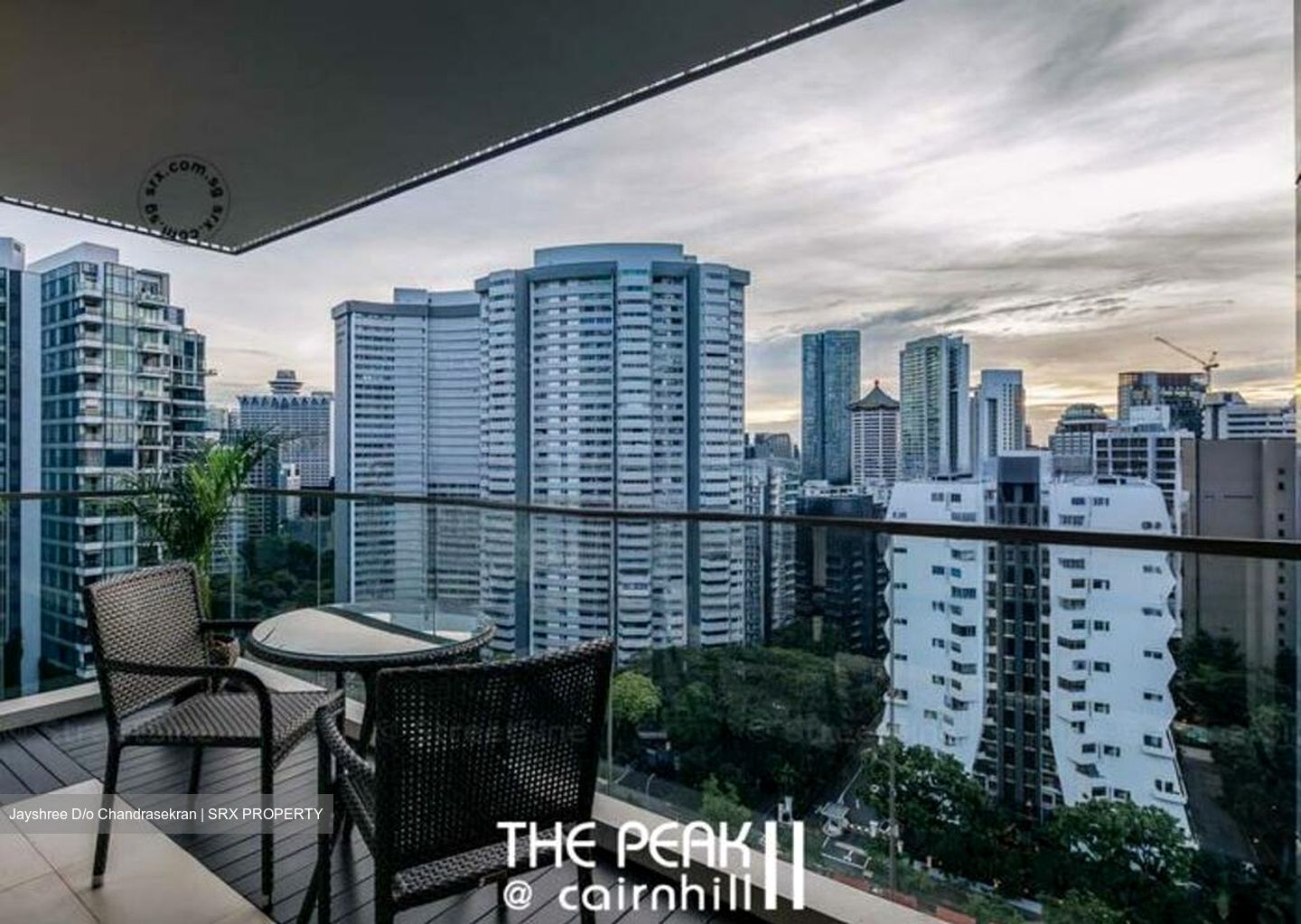 The Peak @ Cairnhill II (D9), Apartment #466360091